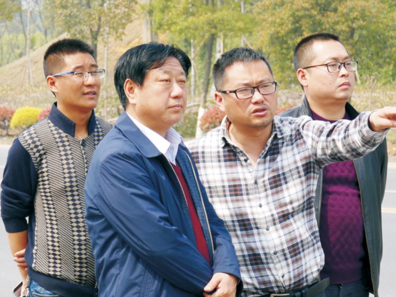 2026世界杯园林绿化维护